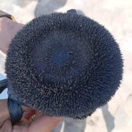 Iron Magnetite Concentrate