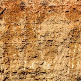 Shell Clay