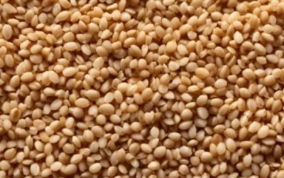 Silica-Sand.jpg